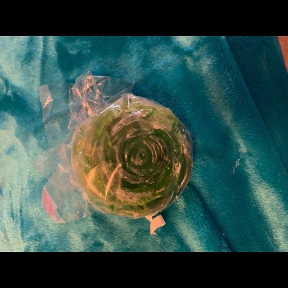 Duckacorns - Picture 4 of 4